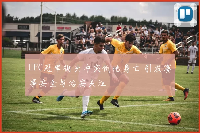 UFC冠军街头冲突倒地身亡 引发赛事安全与治安关注